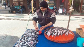 Denizden çıkan balık azaldı, fiyatlar arttı