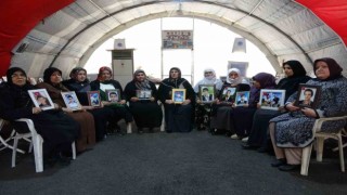 Diyarbakır annelerinin evlat nöbeti bin 614. gününde