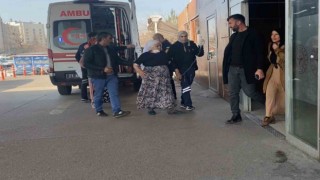 Diyarbakırda 72 yaşındaki kadın besledikleri köpeğin saldırısına uğradı