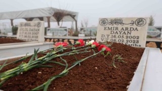 Diyarbakırda depremde hayatını kaybedenlerin mezarlarına karanfil bırakıldı