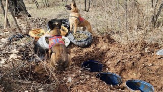 Diyarbakırda jelikan bidon içerisine saklanmış 43 kilo esrar ele geçirildi