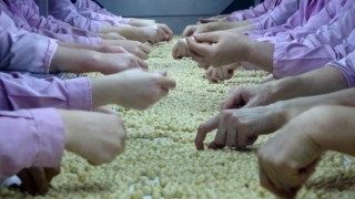 Düzceden 2 bin 294 ton fındık ihraç edildi