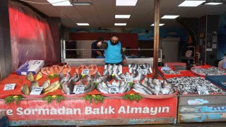 Elazığda en çok tercih edilen balık çeşitleri hamsi, istavrit ve alabalık oldu
