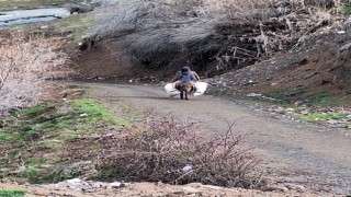 Elazığda selde çöken yolu kullanamayan köylüler hayvanlarına eşekler ile yem taşıyor
