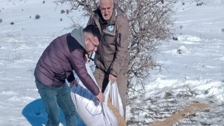 Elazığda yaban hayvanları için doğaya yem bırakıldı