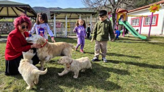 Engelli anne Boncuk ve yavruları okulun maskotu oldu