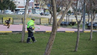 Erganide park ve yeşil alan çalışması