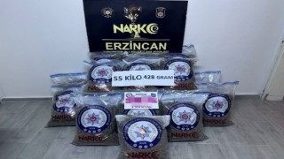 Erzincanda 55 kilo uyuşturucu skunk ele geçirildi