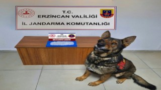 Erzincanda jandarmadan uyuşturucu operasyonu: 1 tutuklama