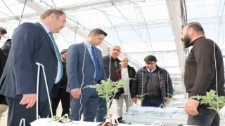 Erzincanda jeotermal ısıtmalı topraksız serada ilk fideler dikildi