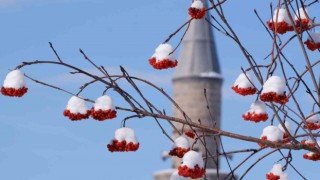 Erzurum hafta sonuna kadar kar yağışı bekleniyor