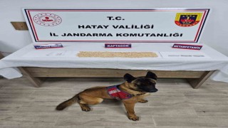 Evinde uyuşturucu madde ele geçirilen şahıs gözaltın alındı