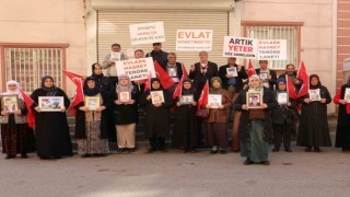 Evladını HDP ve PKKdan isteyen aile sayısı 375 oldu