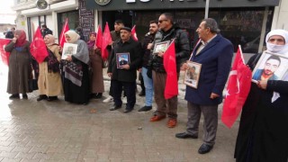 Evlat nöbetindeki anne Saliha Mert: “DEM Partiye oy verenler hakkımıza giriyorlar”