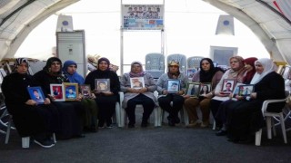Evlat nöbetindeki Remziye Yenidoğan: 15 yaşında bir çocuk annesini bırakıp dağa gitmez