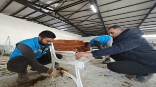Eyyübiye Belediyesinin dev tesisinde üretim başladı