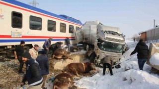 Hayvan yüklü tıra tren çarptı: 2 kişi hayatını kaybetti