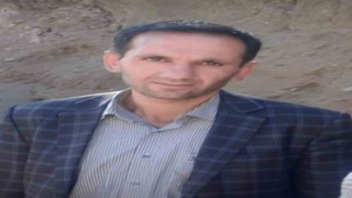 Hizanda üzerine ağaç devrilen adam hayatını kaybetti