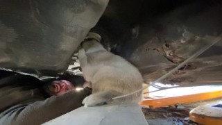 Hurda aracın alt kısmına sıkışan köpek kurtarıldı