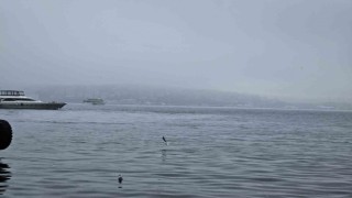 İstanbul Boğazında yoğun sis nedeniyle gemi trafiği askıya alındı