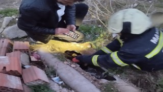 İtfaiye bir can kurtardı
