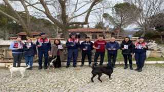 Jandarma ekipleri antik kent ziyaretçilerini bilgilendirdi