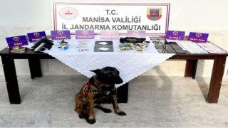 Jandarma Manisada zehir tacirlerine göz açtırmıyor: 62 gözaltı