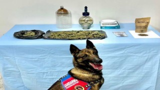 Jandarma uyuşturucu tacirlerine 4 ilçede operasyon düzenledi: 8 gözaltın