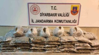 Jandarmanın durdurduğu araçta satışa hazır 67 kilo esrar ele geçirildi