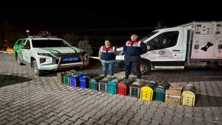 JASATtan komando destekli horoz dövüşü operasyonu