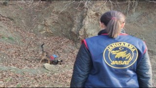Kan donduran cinayette katil zanlısının yasak aşktan dünyaya gelen çocuklarını öldürdüğü ortaya çıktı