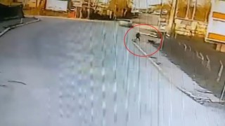 Kandırada okula giden çocuğa 2 köpek saldırdı