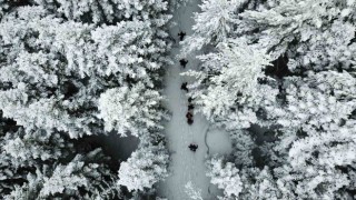 Kar altında büyüleyici güzellik: Gümüşhane-Şiran sınırındaki Tersun Dağında doğa yürüyüşü