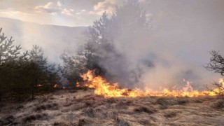 Kastamonuda ormanlık alanda çıkan yangın söndürüldü