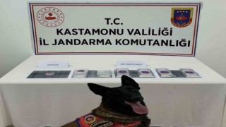 Kastamonuda uyuşturucu operasyonu: 1 gözaltı