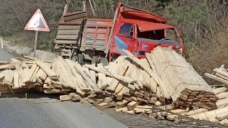 Kereste yüklü kamyonun freni patladı, sürücü yaralandı