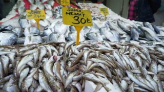 Kilosu 30 TLye satılan balıklara ilgi yok denecek kadar az