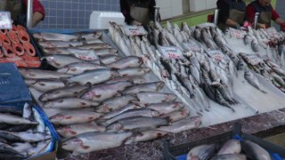Kışın eksik kalan D vitamini bağışıklığı düşürüyor