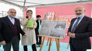 Kocasinanda Kedi Temalı Fotoğraf Yarışmasında kazananlar ödüllerini aldı