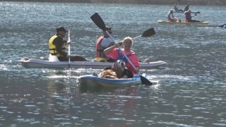 Küresel ısınmaya karşı kürek çektiler