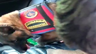 Kütahyada jandarmanın uyuşturucu operasyonunda 2 kişi tutuklandı