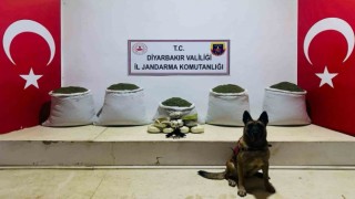 Licede 91 kilo esrar ele geçirildi
