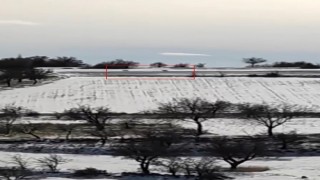 Mahalleye inen kurt sürüsünü bağırarak uzaklaştırdı