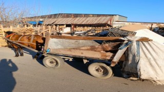 Manisada at arabası operasyonu: Üç at arabasına el konuldu