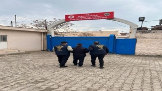 Mardinde gözaltına alınan 80 şüpheliden 19u tutuklandı