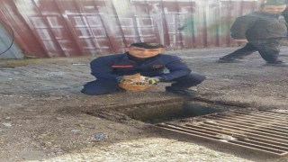 Mazgalın içinde mahsur kalan kedi itfaiye tarafından kurtarıldı
