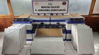 Mersinde 500 bin adet makaron ele geçirildi