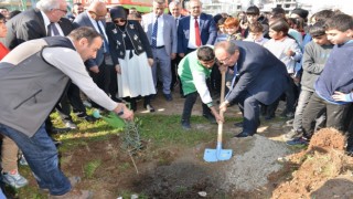 Mersinde okul bahçelerine 600 zeytin fidanı dikildi