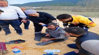 Mısır yüklü tır devrildi: 1 yaralı