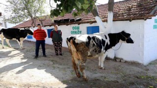 Muğla ve Aydına 30 Milyon TL ORKÖY desteği